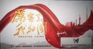 為黨喝彩，為國點(diǎn)贊——公司黨委組織黨員群眾觀(guān)看《厲害了，我的國》